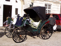 Viktoria kareten til bryllupskørsel med heste